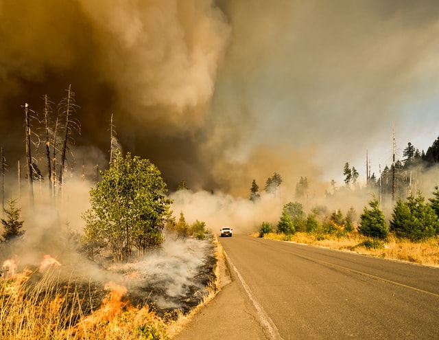 How to Protect Your Workplace from Wildfire Smoke?
