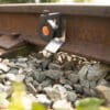 Single Sided Rail Clip with optical survey L-bar Prism - Image 5